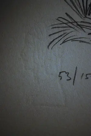 Marcello Cassinari Vettor - Cavallo - steigerend paard - grote litho, oplage 53/150 kopen? Bied vanaf 60!