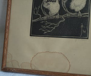 Jan Christiaan Maas - Ingelijste houtsnede , 2 Jonge vogeltjes – 1941 kopen? Bied vanaf 1!