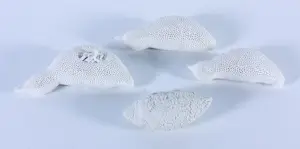 Kathja Smits - Porselein, Vogeltjes kopen? Bied vanaf 100!