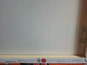 Bruno CANTAIS - ORANGE MÉCANIQUE kopen? Bied vanaf 75!