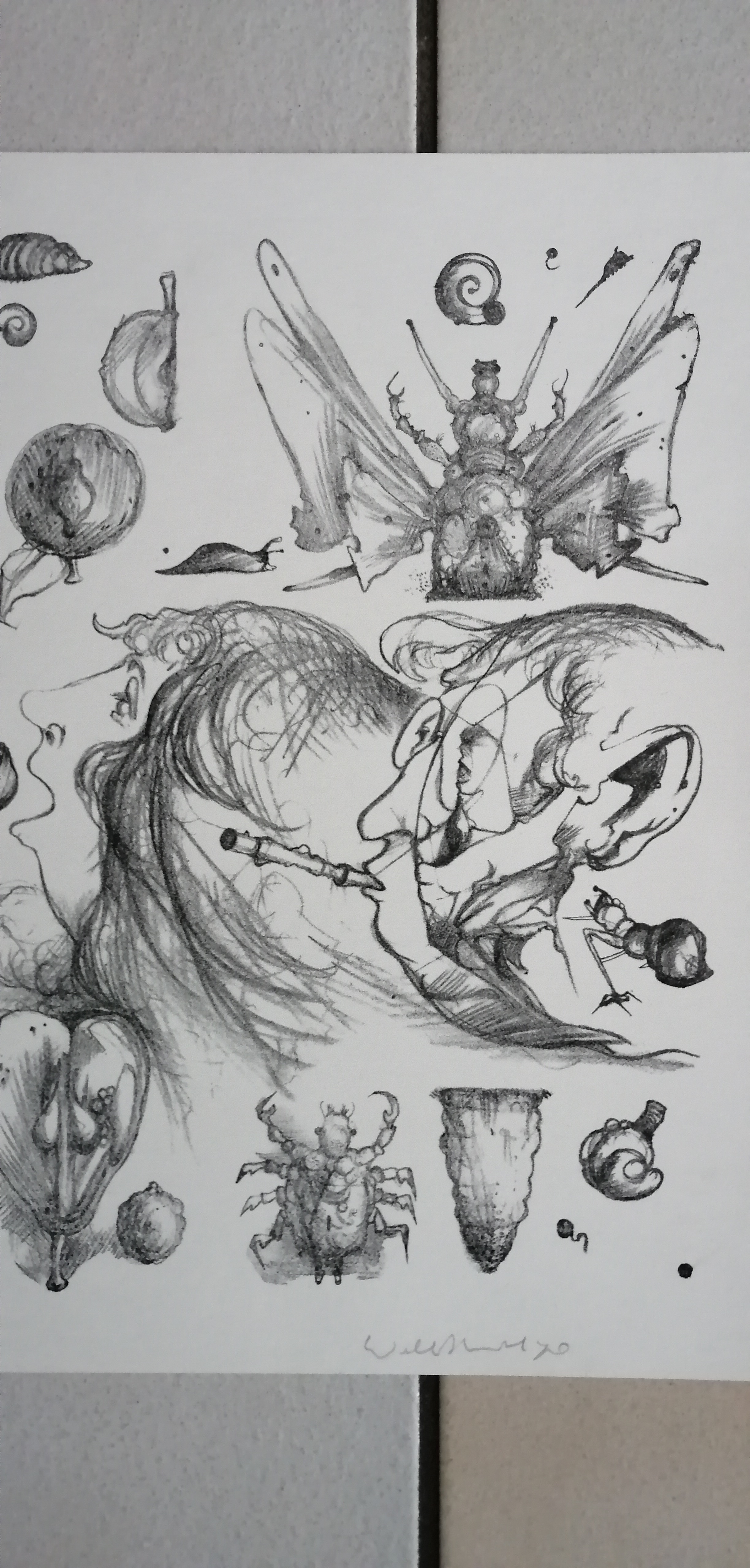 Dirkje Kuik - Winkel van .......? kopen? Bied vanaf 45!