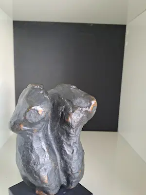 Susanne den Hoed - Torso man en vrouw kopen? Bied vanaf 120!