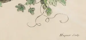 Gabriel Huquier - Handgekleurde kopergravure (naar Watteau), Lá Danse Bachique - Ingelijst kopen? Bied vanaf 35!