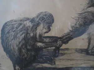 Dirk Homberg - 2x Langoeren Java en Oud Batavia kopen? Bied vanaf 250!