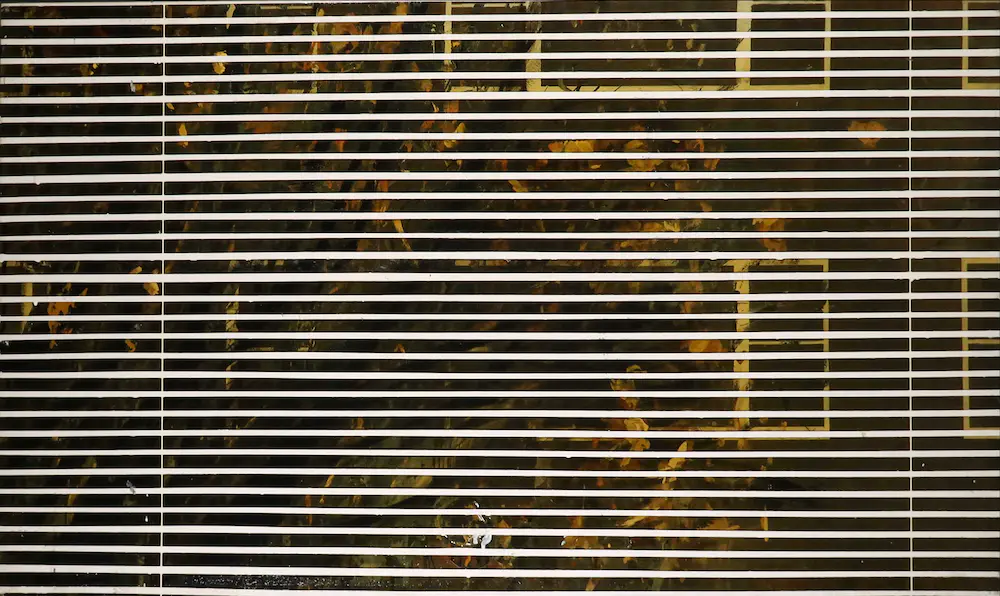 Jan Maarten Luursema (1967)