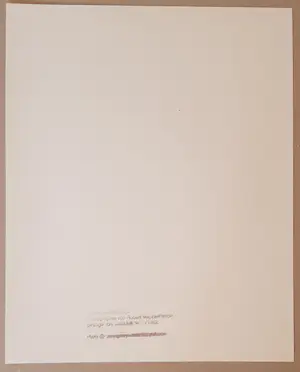 Robert Mapplethorpe - William S. Burroughs kopen? Bied vanaf 120!