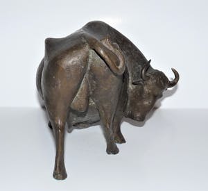 Evert den Hartog - Stier kopen? Bied vanaf 750!