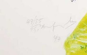 Pieter Defesche - Litho op papier, Zonder titel - Groot kopen? Bied vanaf 20!