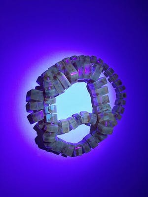 Curiosa - Amber ketting kopen? Bied vanaf 1!