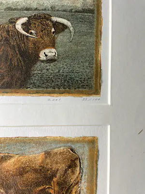 Han van Hagen - Stieren kopen? Bied vanaf 100!