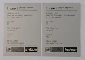 Imbue - XL Ancient Astronauts - 2 pieces kopen? Bied vanaf 425!