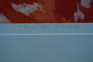 Toni de Klerk - Bubo cupeustion kopen? Bied vanaf 45!