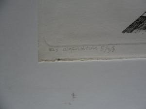 Joost Minnigh - Ets, Titel, "Afrastering". kopen? Bied vanaf 35!