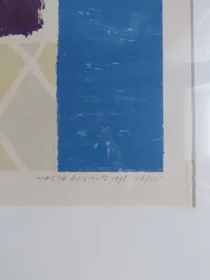 Harrie Gerritz - Dorp in venster kopen? Bied vanaf 50!