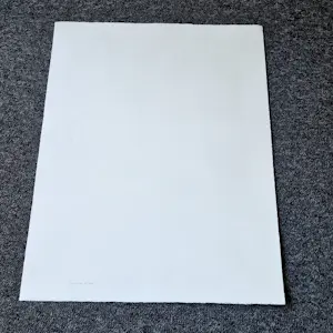 Teun Nijkamp - Grote kleuren zeefdruk "tekenen in de tuin" - gelimiteerde oplage (125) kaufen? Bieten Sie von 31!