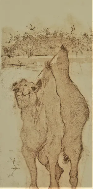 Anna Jeretic - 'Dieren' kopen? Bied vanaf 65!