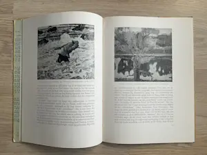 Jan Toorop - KNIPPING - Palet Serie kopen? Bied vanaf 20!