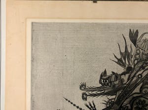 Wim Bos - Akrobaat kopen? Bied vanaf 15!