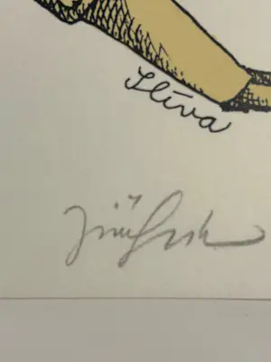 Jiri Sliva - Liberatio kopen? Bied vanaf 40!