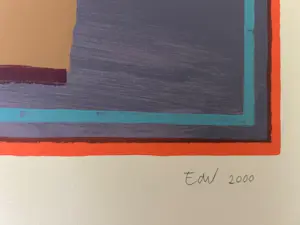 Elizabeth de Vaal - Pareidolie kopen? Bied vanaf 100!