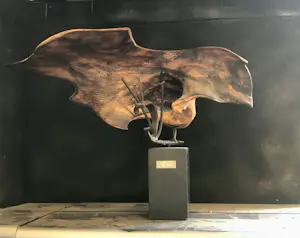 Rien Goené - Vlinder van hout en ijzer kopen? Bied vanaf 1100!