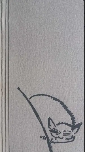 Kees van Dongen - Les cahiers d'aujaurd'hui - 1913 kopen? Bied vanaf 135!