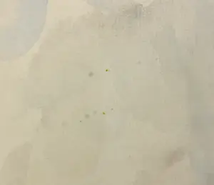 Frank Myers Boggs - Aquarel, Paris - Ingelijst kopen? Bied vanaf 250!