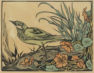 Niet of onleesbaar gesigneerd - Houtsnede, Vogel bij vijver kopen? Bied vanaf 1!