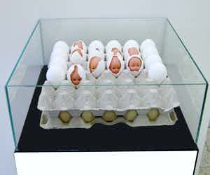 Peter Nieuwendijk - DE KWETSBAARHEID VAN HET BESTAAN verkocht voor € 350!