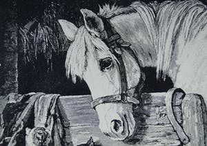 Niet of onleesbaar gesigneerd - wit paard met 3 jonge poesjes kopen? Bied vanaf 1!