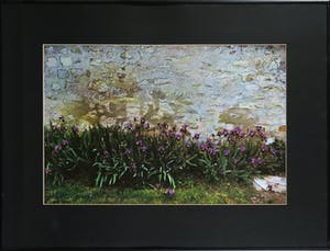 Paul Huf - Foto, Irissen - Ingelijst kopen? Bied vanaf 1!