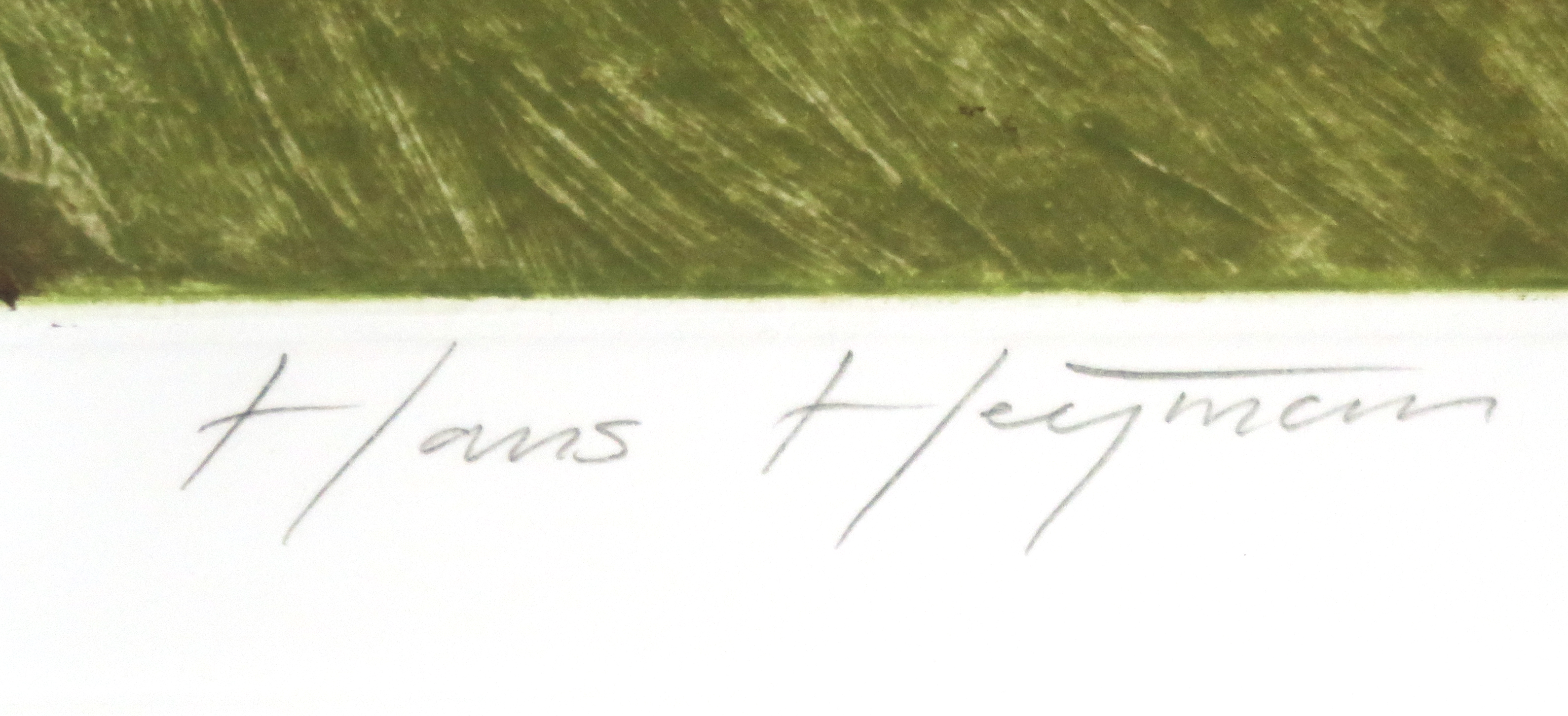 Hans Heijman - Kleurenets, De Dijk kopen? Bied vanaf 1!