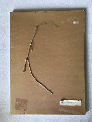 Joost Minnigh - Kat in steeg B kopen? Bied vanaf 50!