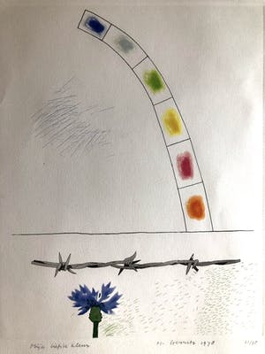 Harrie Gerritz - Mijn liefste kleur - Kleurets kopen? Bied vanaf 55!