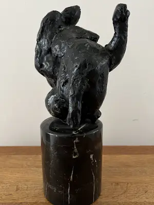 Jan Peter van Opheusden - RUITER kopen? Bied vanaf 250!