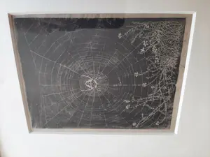 Jan Mankes - Heliogravure, Spin in web. kopen? Bied vanaf 100!