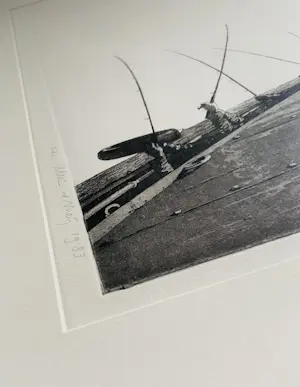 Wim van der Meij - Vissers, ets met oplage van 25 kopen? Bied vanaf 40!