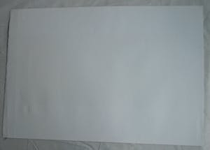 Patty Harpenau - Litho , “Fantasiedieren” – oplage 22 exemplaren kopen? Bied vanaf 1!