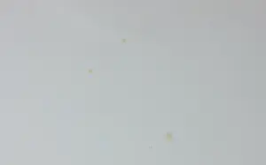 Peter Bes - Ets en aquatint, Twee mannen kopen? Bied vanaf 50!