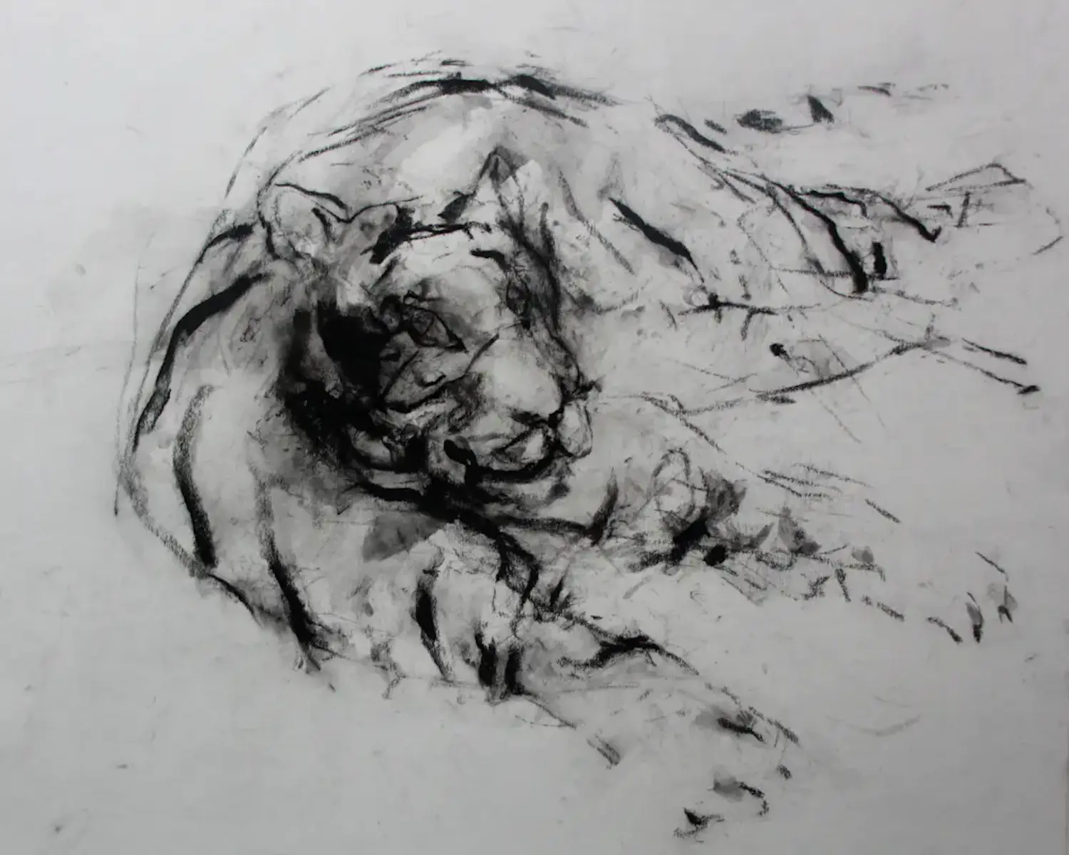 Nico Molenkamp (1920-1998)