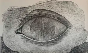 Max Ernst - Map met 34 werken: Histoire Naturelle - 1972 kaufen? Bieten Sie von 499!