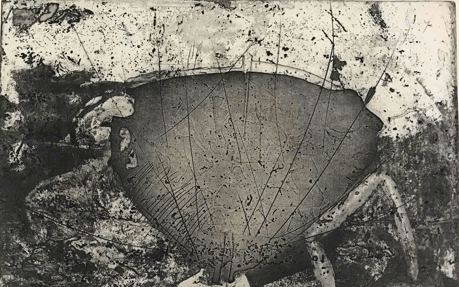 Jan Prins - Zeldzame gesigneerde ets kopen? Bied vanaf 45!