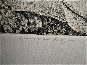 Han van Hagen - Ambachtelijk Graficus - Kleine oplage Ets - Zwartbles schaap - potloodgesigneerd kopen? Bied vanaf 30!