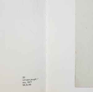 Ronald Tolman - Uit een jeugd, aquatint ets (groot, zeldzaam, volledig gedocumenteerd) kopen? Bied vanaf 1!