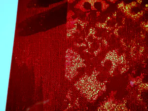 Max Ernst - "Judith", Lithographie handsigniert kopen? Bied vanaf 680!