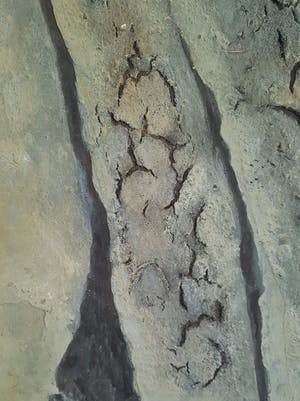 Jelle de Vries - Waddenzee kopen? Bied vanaf 200!