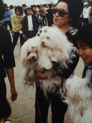 Henk Schiffmacher - Gesigneerde foto op dibond “Vrouw met Honden” + gesigneerd fotoboek kopen? Bied vanaf 150!