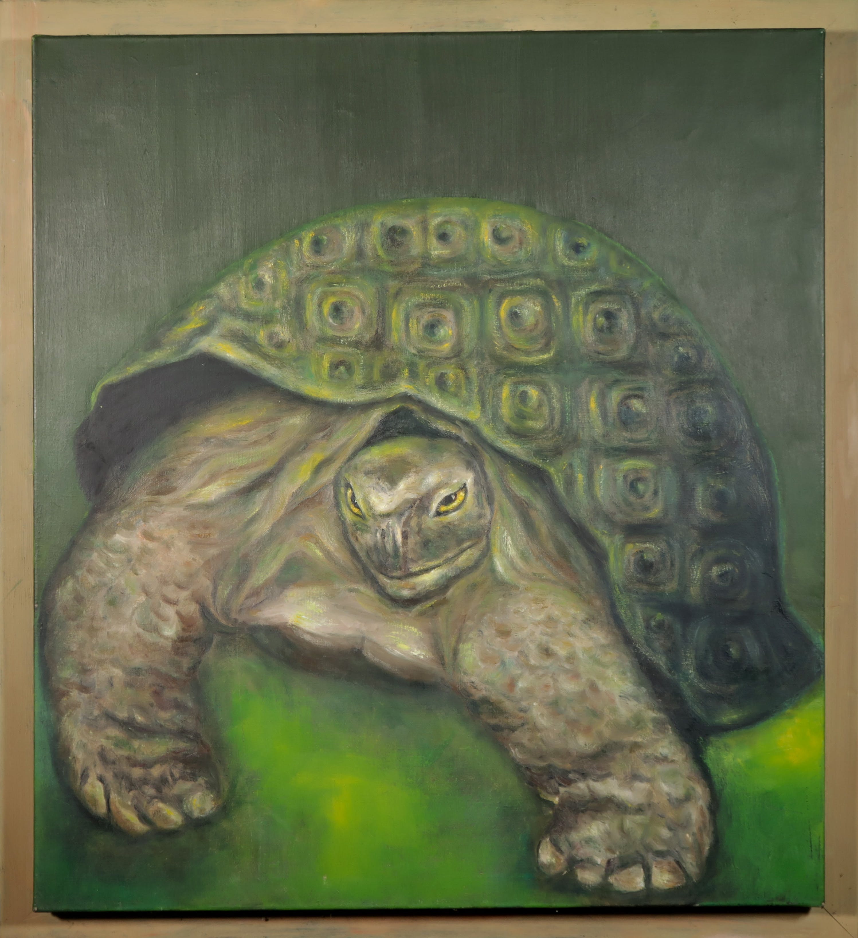 Mariette van Kemenade - Olieverf op doek, Schildpad - Ingelijst kopen? Bied vanaf 40!