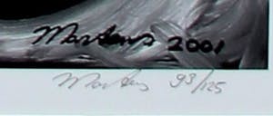 Berry Martens - Offset Litho(grafiek) - 2001 kopen? Bied vanaf 29!