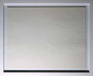 herman de vries - Preegdruk, Random movement fields - Ingelijst verkocht voor € 400!